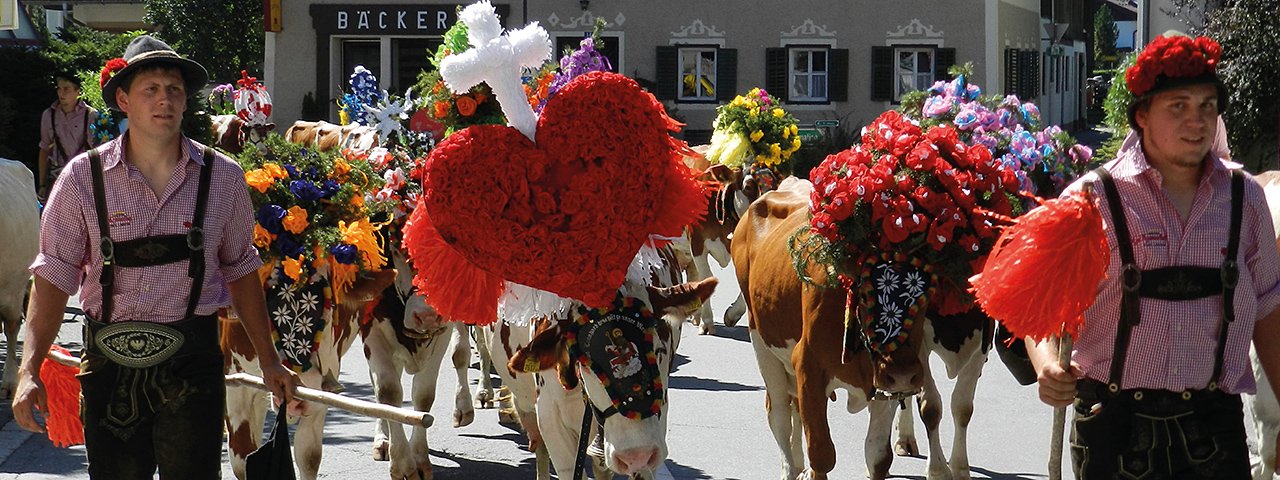 In September, the cattle returns from Obingalm to Kirchdorf and can be admired in their beautiful headdresses  , © Kramerhof Gasteig