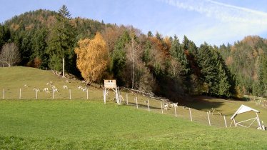 gigantischer Herbsttag