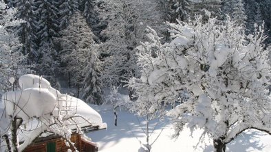 Aussicht zum Gartenhaus aus den Schlafzimmern