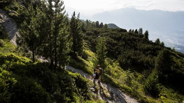 Zirbenweg Trail from Patscherkofel to Glungezer, © Region Hall-Wattens/Daniel Zangerl