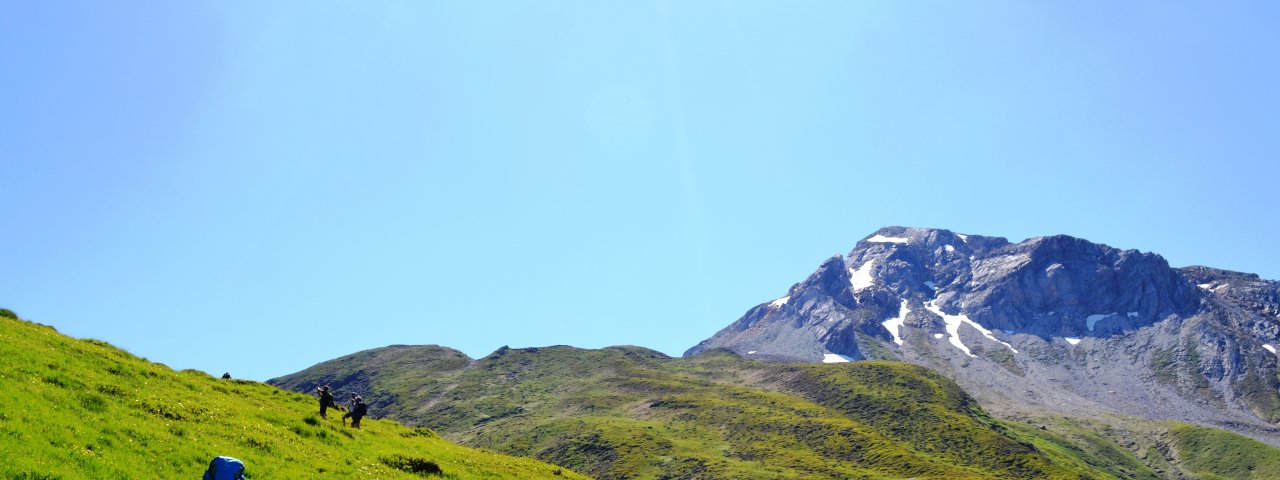 Looking towards the Nördliche Schoberspitze, © TVB Wipptal/Helga Beermeister