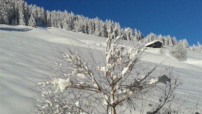 Winter in Kartitsch