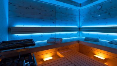 Biosauna