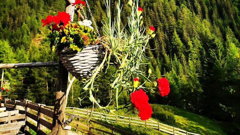 Kreither Alm Alpine Pasture Hut, © Kreither Alm