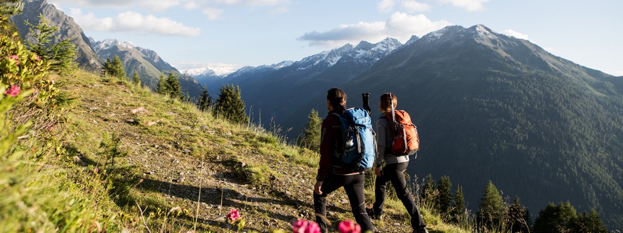 Hike Falaunsalm - Gallruttalm, © Daniel Zangerl