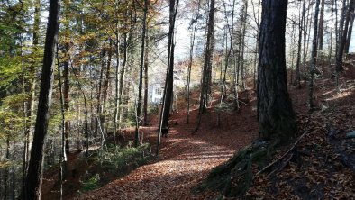 Die Glocke Wanderweg Herbst