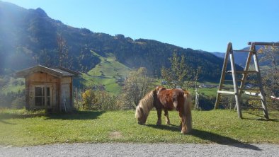 Stockhof Gerlosberg Sommer