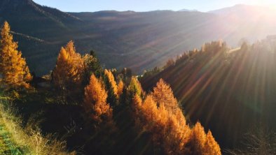 golden autumn in its glory, © H. S. Wilhelmer