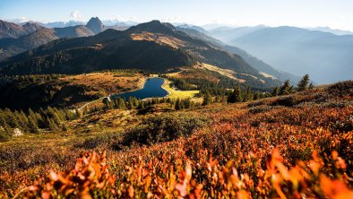 Mountainbiken©Mathäus Gartner (18)