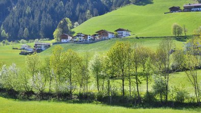 Frühling in Laimach