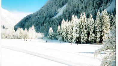 Loipe in unmittelbarer Nähe