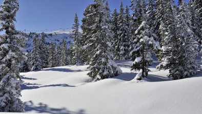 Hochzillertal Umgebung_II