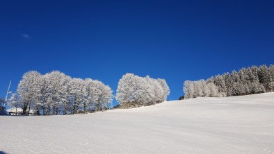 Aussicht Gasthof Schöntal