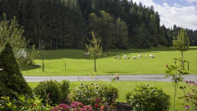 Haus_Mariandl_Wiesen_1_Oberndorf_Ausblick (1280x85