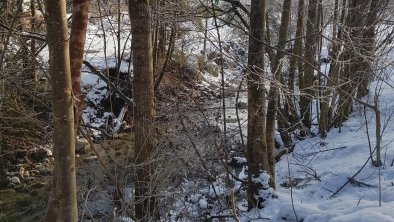 Little creek behind the house in winter