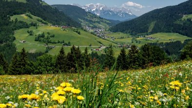 Frühlingswiese FG Schmid Hermann Rechte TVB Wildsc