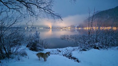 Walchsee