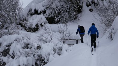 Schneeschuhwandern