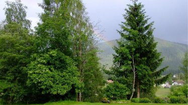 Ausblick Sommer