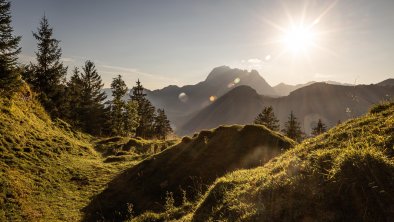 Herbstwandern (c) Mirja Geh (12)