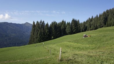 Flecklhof_beim Mähen