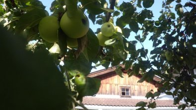 Unser Obstgarten