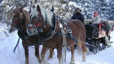 landhaus-strickenmacher-strassen-osttirol-buchen, © trojer