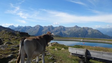 Wanderung Hochzeiger, © TOMAS