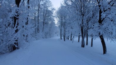 Winterwanderweg_Haus_Bergfriede