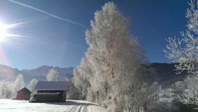 Winterbild Ehrwald Moos 2