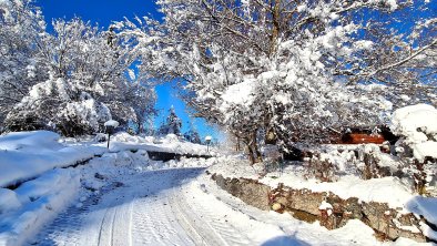 Entrance to property Villa Alpenblick