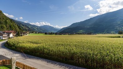 Baderer_Apart_Unterwaldstrrasse_3_Stumm_Ausblick_1