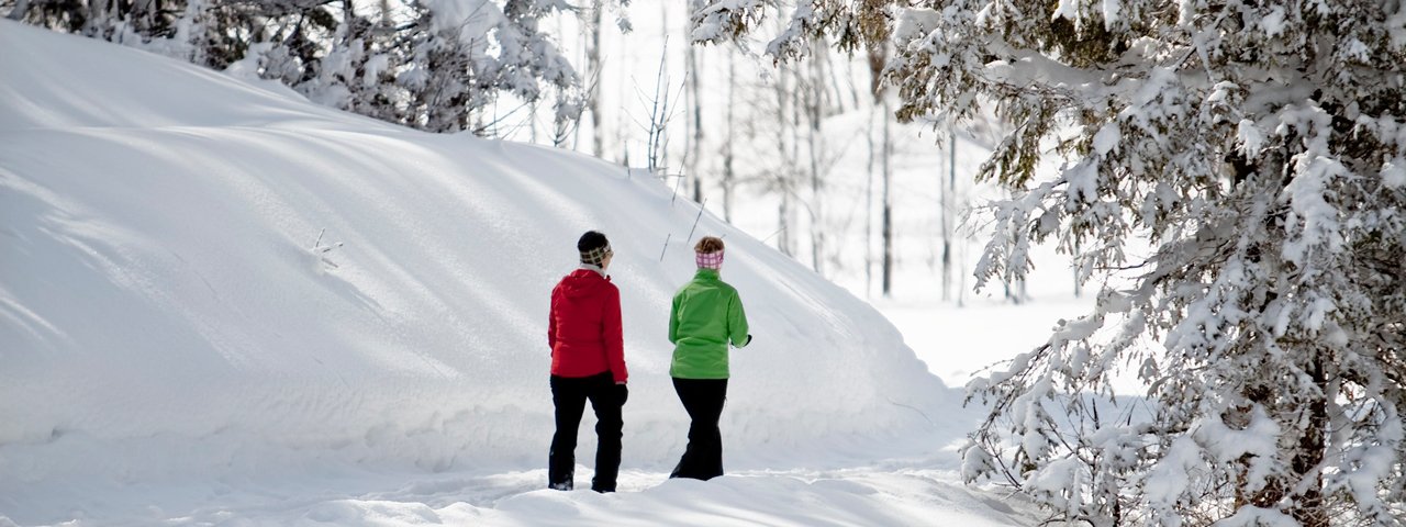 Winter hike in Waidring, © Andreas Langreiter