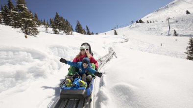 Alpine Coaster adventure on ski mountain in Alpbach