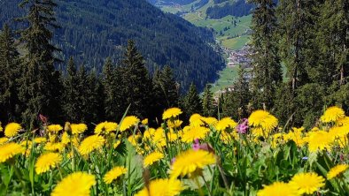 Blick ins Tuxertal