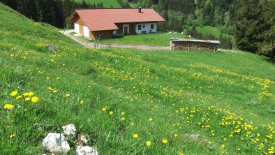 Kaiserwinkl, Walchsee, Goglalm 1