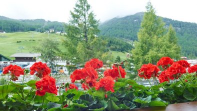 Aussicht vom Balkon