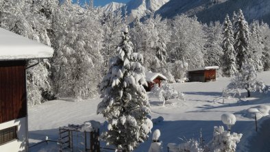 Blick in den Garten