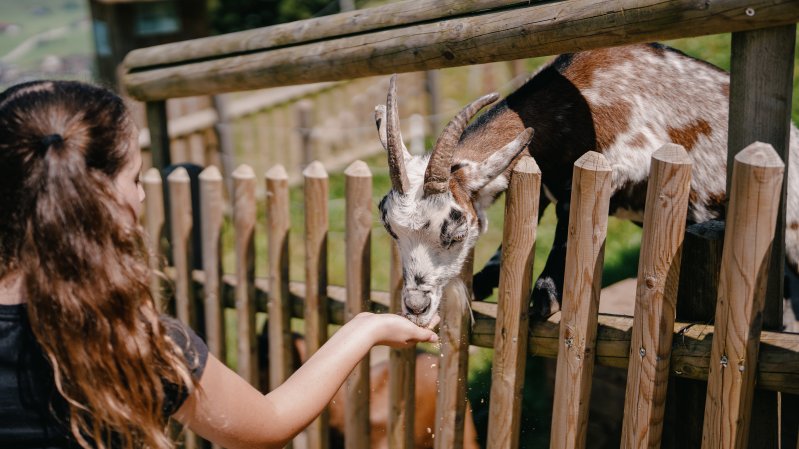 © Freizeitpark Zahmer Kaiser | Kurasch