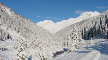 Unterstaller, Winterlandschaft, © Gutwenger