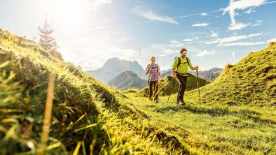 hd-kitzbueheleralpen-sommer2015mirjageh-eye5-173Â©