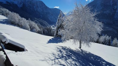 Bergbauernhof Burkert