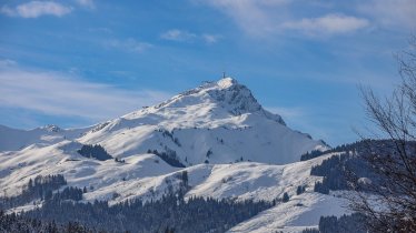 Kitzbüheler Horn