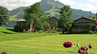 Ausblick im Sommer