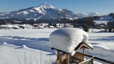 Blick auf´s Kitzbühler Horn