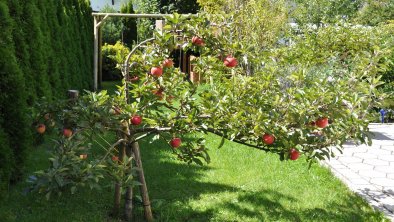 Garten, © Marianna Wechselberger