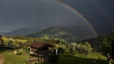 Der Garten mit Grillhütte