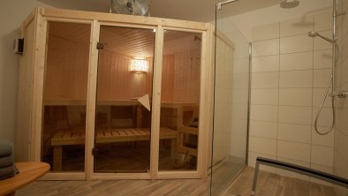 alpsmart_sauna