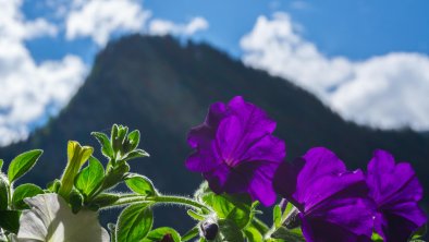 Apartment Bergblick, Ginzling, Zillertal