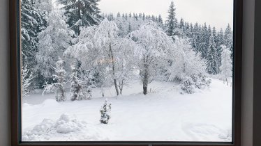 Zimmer mit Aussicht